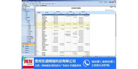 財務軟件_貴陽財務軟件_貴州東語 查看